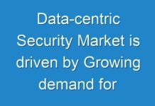 Data-centric Security Market is driven by Growing demand for cloud-based data security