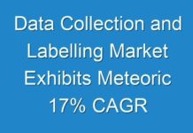 Data Collection and Labelling Market Exhibits Meteoric 17% CAGR Through 2030