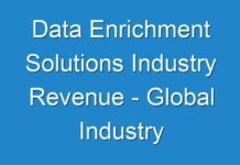 Data Enrichment Solutions Industry Revenue – Global Industry Analysis, Size, Share, Growth, Trends, And Forecast