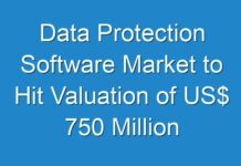 Data Protection Software Market to Hit Valuation of US$ 750 Million by 2018-2028