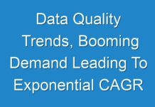 Data Quality Trends, Booming Demand Leading To Exponential CAGR Growth by 2030