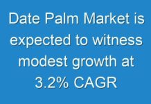 Date Palm Market is expected to witness modest growth at 3.2% CAGR
