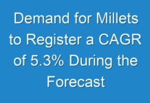 Demand for Millets to Register a CAGR of 5.3% During the Forecast Period (2017 to 2024)