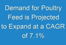 Demand for Poultry Feed is Projected to Expand at a CAGR of 7.1% Through 2027