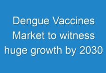 Dengue Vaccines Market to witness huge growth by 2030