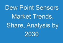 Dew Point Sensors Market Trends, Share, Analysis by 2030