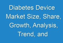 Diabetes Device Market Size, Share, Growth, Analysis, Trend, and Forecast Research Report by 2028