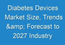 Diabetes Devices Market Size, Trends & Forecast to 2027 Industry Analysis by Regions, Type and Applications, Top Countries Data