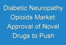 Diabetic Neuropathy Opioids Market: Approval of Novel Drugs to Push Revenue Growth with an Impressive CAGR of 5.6% | Fact.MR