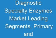 Diagnostic Specialty Enzymes Market Leading Segments, Primary and Secondary Drivers, Key Players and Geographical Analysis by 2026