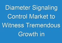Diameter Signaling Control Market to Witness Tremendous Growth in Forecasted Period 2024-2026