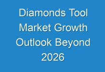 Diamonds Tool Market Growth Outlook Beyond 2026