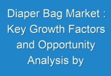 Diaper Bag Market : Key Growth Factors and Opportunity Analysis by 2026