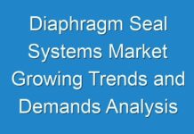 Diaphragm Seal Systems Market Growing Trends and Demands Analysis forecast 2018 to 2026
