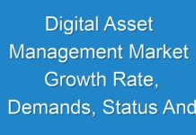 Digital Asset Management Market Growth Rate, Demands, Status And Application Forecast 2025