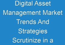 Digital Asset Management Market Trends And Strategies Scrutinize in a New Research Study