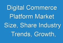 Digital Commerce Platform Market Size, Share Industry Trends, Growth, Development Status, Future Plans Analysis by 2024