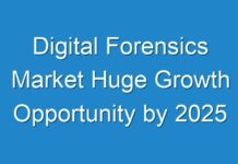 Digital Forensics Market Huge Growth Opportunity by 2025