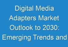Digital Media Adapters Market Outlook to 2030: Emerging Trends and Will Generate New Growth Opportunities Status