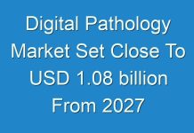 Digital Pathology Market Set Close To USD 1.08 billion From 2027