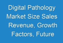 Digital Pathology Market Size Sales Revenue, Growth Factors, Future Trends, and Demand by Forecast to 2027