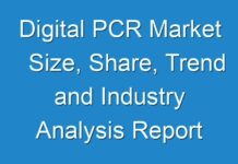 Digital PCR Market Size, Share, Trend and Industry Analysis Report 2016 – 2024