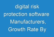 digital risk protection software Manufacturers, Growth Rate By Application, Market Size And Forecast 2030