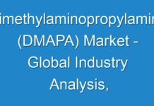 Dimethylaminopropylamine (DMAPA) Market – Global Industry Analysis, and Forecast 2024