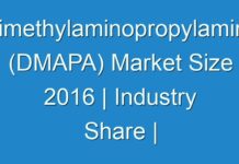 Dimethylaminopropylamine (DMAPA) Market Size 2016 | Industry Share | Trend and Growth Forecast to 2024