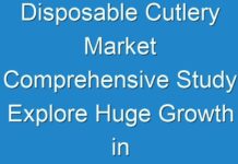 Disposable Cutlery Market Comprehensive Study Explore Huge Growth in Future 2030