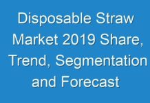 Disposable Straw Market 2019 Share, Trend, Segmentation and Forecast To 2027
