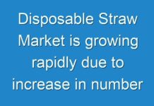 Disposable Straw Market is growing rapidly due to increase in number of food outlets and food services