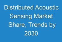 Distributed Acoustic Sensing Market Share, Trends by 2030