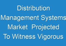 Distribution Management Systems Market Projected To Witness Vigorous Expansion By 2013 – 2019