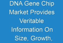 DNA Gene Chip Market Provides Veritable Information On Size, Growth, Trends And Competitive Outlook 2025