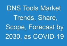 DNS Tools Market Trends, Share, Scope, Forecast by 2030, as COVID-19 Pandemic Continues to Expand Quickly