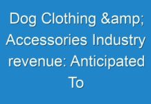 Dog Clothing & Accessories Industry revenue: Anticipated To Experience Extraordinary Growth During Forecast Period 2024-2030