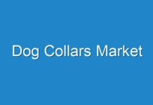Dog Collars Market