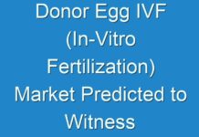 Donor Egg IVF (In-Vitro Fertilization) Market Predicted to Witness Surge in The Near Future