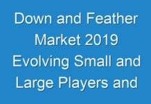 Down and Feather Market 2019 Evolving Small and Large Players and Forecast 2027
