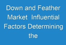 Down and Feather Market Influential Factors Determining the Trajectory of the Market 2019 – 2027