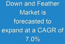 Down and Feather Market is forecasted to expand at a CAGR of 7.0% from 2019 to 2027