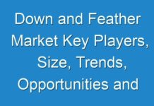 Down and Feather Market Key Players, Size, Trends, Opportunities and growth Analysis