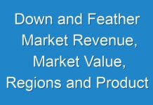 Down and Feather Market Revenue, Market Value, Regions and Product Type – Forecast To 2027