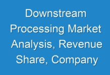 Downstream Processing Market Analysis, Revenue Share, Company Profiles, Launches, & Forecast Till 2027