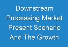 Downstream Processing Market Present Scenario And The Growth Prospects With Forecast 2030