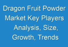 Dragon Fruit Powder Market Key Players Analysis, Size, Growth, Trends and Forecast up to 2029