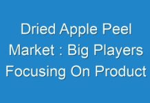 Dried Apple Peel Market : Big Players Focusing On Product Advancements For Business Expansion 2029