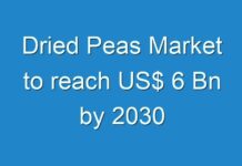 Dried Peas Market to reach US$ 6 Bn by 2030