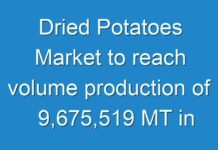 Dried Potatoes Market to reach volume production of 9,675,519 MT in 2027